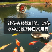 让花卉枝繁叶茂,浇花水中加这3种日常用品(图3) 让花卉枝繁叶茂,浇花水中加这3种日常用品(图3)