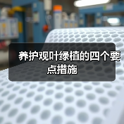 养护观叶绿植的四个要点措施(图2) 养护观叶绿植的四个要点措施(图2)
