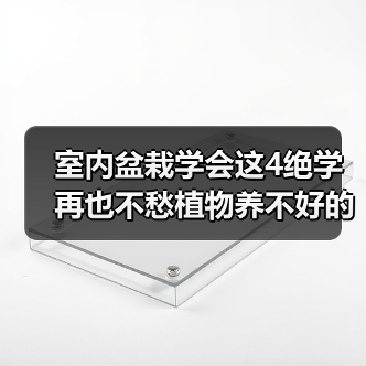 室内盆栽学会这4绝学 再也不愁植物养不好的问题了（图2）