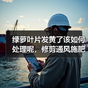 绿萝叶片发黄了该如何处理呢,修剪通风施肥不可少,绿的发油(图4) 绿萝叶片发黄了该如何处理呢,修剪通风施肥不可少,绿的发油(图4)