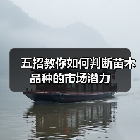 五招教你如何判断苗木品种的市场潜力(图1) 五招教你如何判断苗木品种的市场潜力(图1)