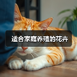 适合家庭养殖的花卉(图4) 适合家庭养殖的花卉(图4)