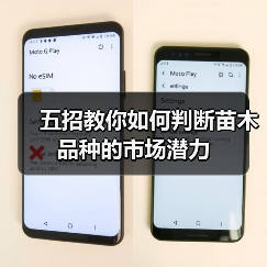 五招教你如何判断苗木品种的市场潜力(图2) 五招教你如何判断苗木品种的市场潜力(图2)