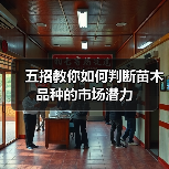 五招教你如何判断苗木品种的市场潜力(图3) 五招教你如何判断苗木品种的市场潜力(图3)