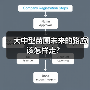 大中型苗圃未来的路应该怎样走?(图4) 大中型苗圃未来的路应该怎样走?(图4)