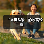 “文玩盆景”的收藏经验（图2）