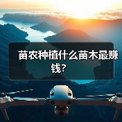 苗农种植什么苗木最赚钱？（图1）