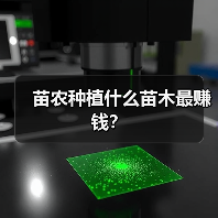 苗农种植什么苗木最赚钱？（图3）
