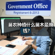 苗农种植什么苗木最赚钱？（图4）