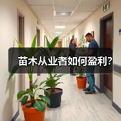 苗木从业者如何盈利？（图2）