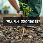 苗木从业者如何盈利？（图3）