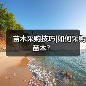 苗木采购技巧|如何采购苗木?(图1) 苗木采购技巧|如何采购苗木?(图1)