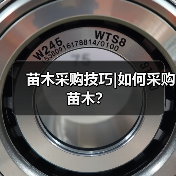 苗木采购技巧|如何采购苗木?(图2) 苗木采购技巧|如何采购苗木?(图2)