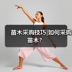 苗木采购技巧|如何采购苗木?(图4) 苗木采购技巧|如何采购苗木?(图4)