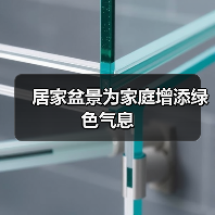 居家盆景为家庭增添绿色气息(图2) 居家盆景为家庭增添绿色气息(图2)