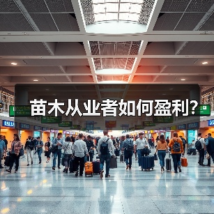 苗木从业者如何盈利？（图4）