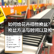 如何给花卉植物换盆?换盆方法与时间以及换盆的注意事项(图2) 如何给花卉植物换盆?换盆方法与时间以及换盆的注意事项(图2)