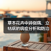 草本花卉中猝倒病、立枯病的病症分析和防治措施（图2）