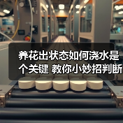 养花出状态如何浇水是个关键 教你小妙招判断植物花卉什么时候需要浇水（图1）