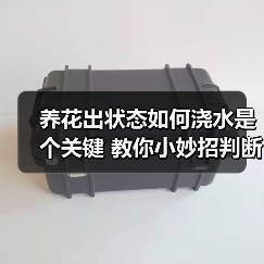 养花出状态如何浇水是个关键 教你小妙招判断植物花卉什么时候需要浇水（图4）