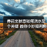 养花出状态如何浇水是个关键 教你小妙招判断植物花卉什么时候需要浇水（图2）