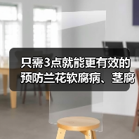只需3点就能更有效的预防兰花软腐病、茎腐病、水腐病（图1）