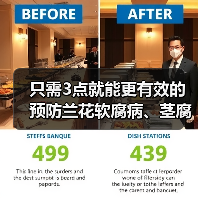 只需3点就能更有效的预防兰花软腐病、茎腐病、水腐病（图2）