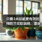 只需3点就能更有效的预防兰花软腐病、茎腐病、水腐病（图3）