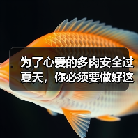 为了心爱的多肉安全过夏天,你必须要做好这9件事(图3) 为了心爱的多肉安全过夏天,你必须要做好这9件事(图3)