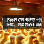 多肉养好养出状态土是关键,养多肉的土里面一定要加点这个!(图3) 多肉养好养出状态土是关键,养多肉的土里面一定要加点这个!(图3)