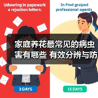 家庭养花最常见的病虫害有哪些 有效分辨与防治手段(图2) 家庭养花最常见的病虫害有哪些 有效分辨与防治手段(图2)