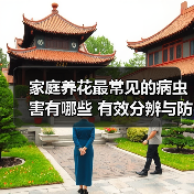 家庭养花最常见的病虫害有哪些 有效分辨与防治手段(图4) 家庭养花最常见的病虫害有哪些 有效分辨与防治手段(图4)