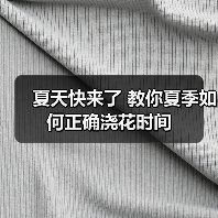夏天快来了 教你夏季如何正确浇花时间(图1) 夏天快来了 教你夏季如何正确浇花时间(图1)