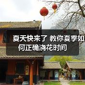 夏天快来了 教你夏季如何正确浇花时间(图2) 夏天快来了 教你夏季如何正确浇花时间(图2)