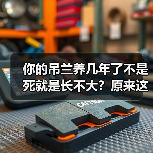 你的吊兰养几年了不是死就是长不大?原来这么养才正确!(图4) 你的吊兰养几年了不是死就是长不大?原来这么养才正确!(图4)