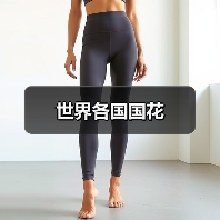 世界各国国花（图3）