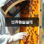 世界各国国花（图2）