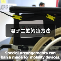 君子兰的繁殖方法（图3）