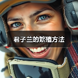 君子兰的繁殖方法（图2）