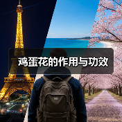 鸡蛋花的作用与功效（图4）