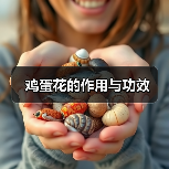 鸡蛋花的作用与功效（图3）