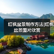 红枫盆景制作方法|红枫盆景图片欣赏(图2) 红枫盆景制作方法|红枫盆景图片欣赏(图2)