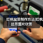 红枫盆景制作方法|红枫盆景图片欣赏(图1) 红枫盆景制作方法|红枫盆景图片欣赏(图1)