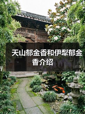 天山郁金香和伊犁郁金香介绍（图2）