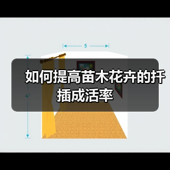 如何提高苗木花卉的扦插成活率（图1）