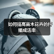 如何提高苗木花卉的扦插成活率（图3）