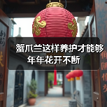 蟹爪兰这样养护才能够年年花开不断（图3）