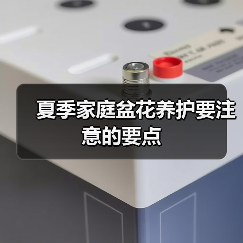 夏季家庭盆花养护要注意的要点（图1）