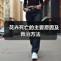 花卉死亡的主要原因及救治方法(图1) 花卉死亡的主要原因及救治方法(图1)