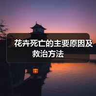花卉死亡的主要原因及救治方法(图4) 花卉死亡的主要原因及救治方法(图4)